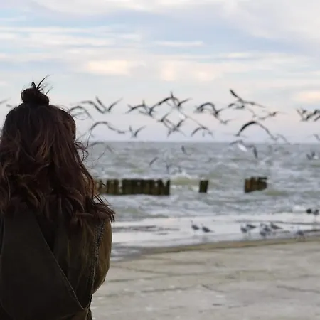 White Pearl 0.08 * Timmendorfer Strand