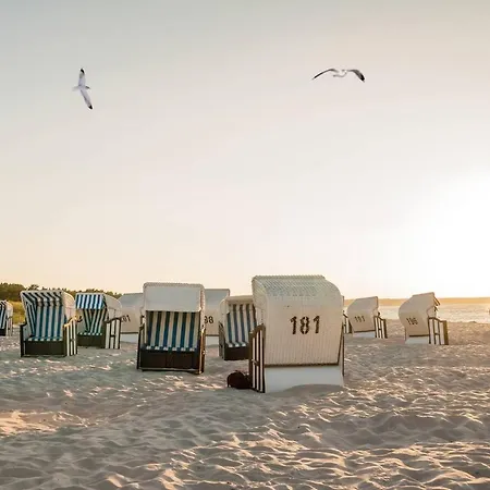 White Pearl 0.08 Apartment